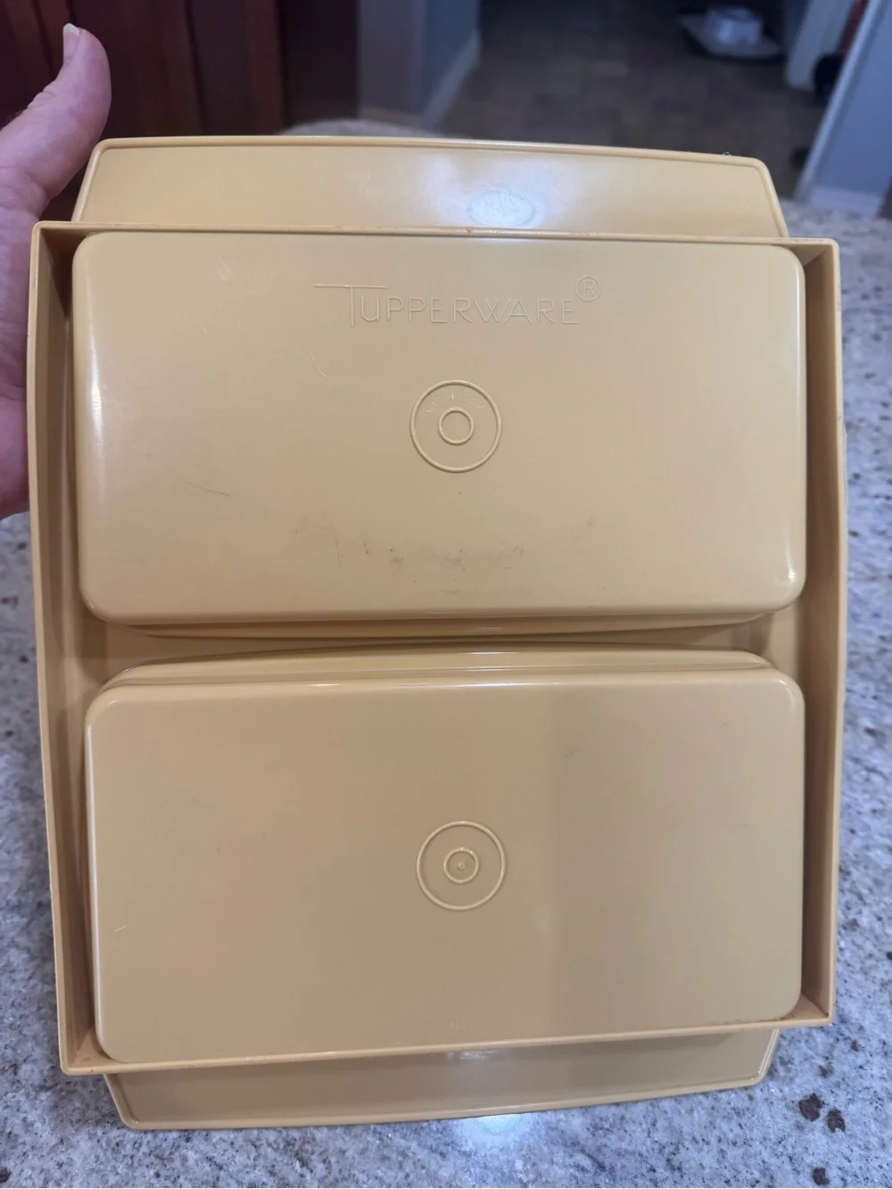 Vintage Square Covered Serving Dish in Yellow and Cream